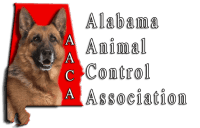 AACA CAres
